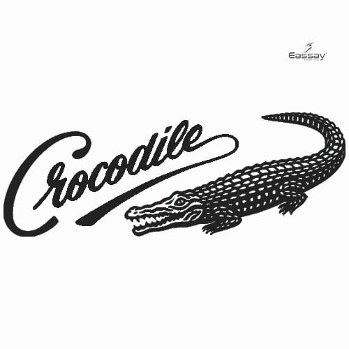 Crocodile